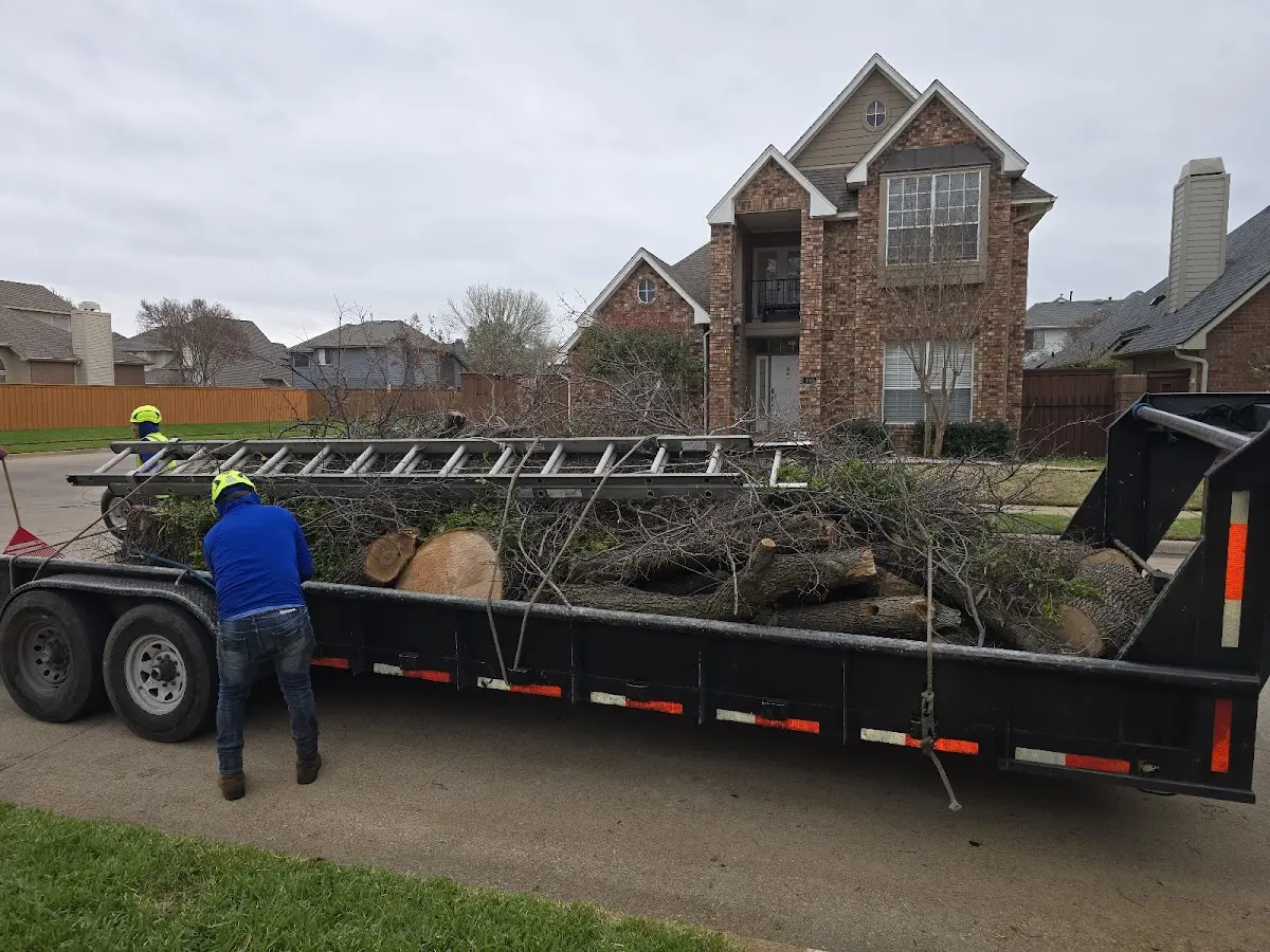 Expert Tree Pest Control with proper safety equipment in Benkelman